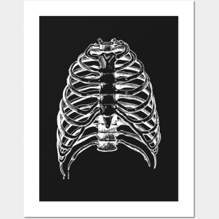 Thorax bones Posters and Art